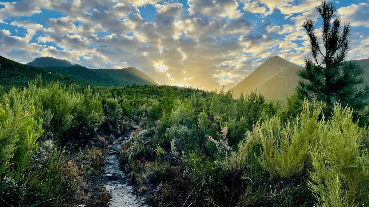 Tsitsikamma Sunrise